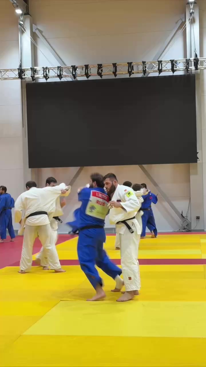 @mir_judo