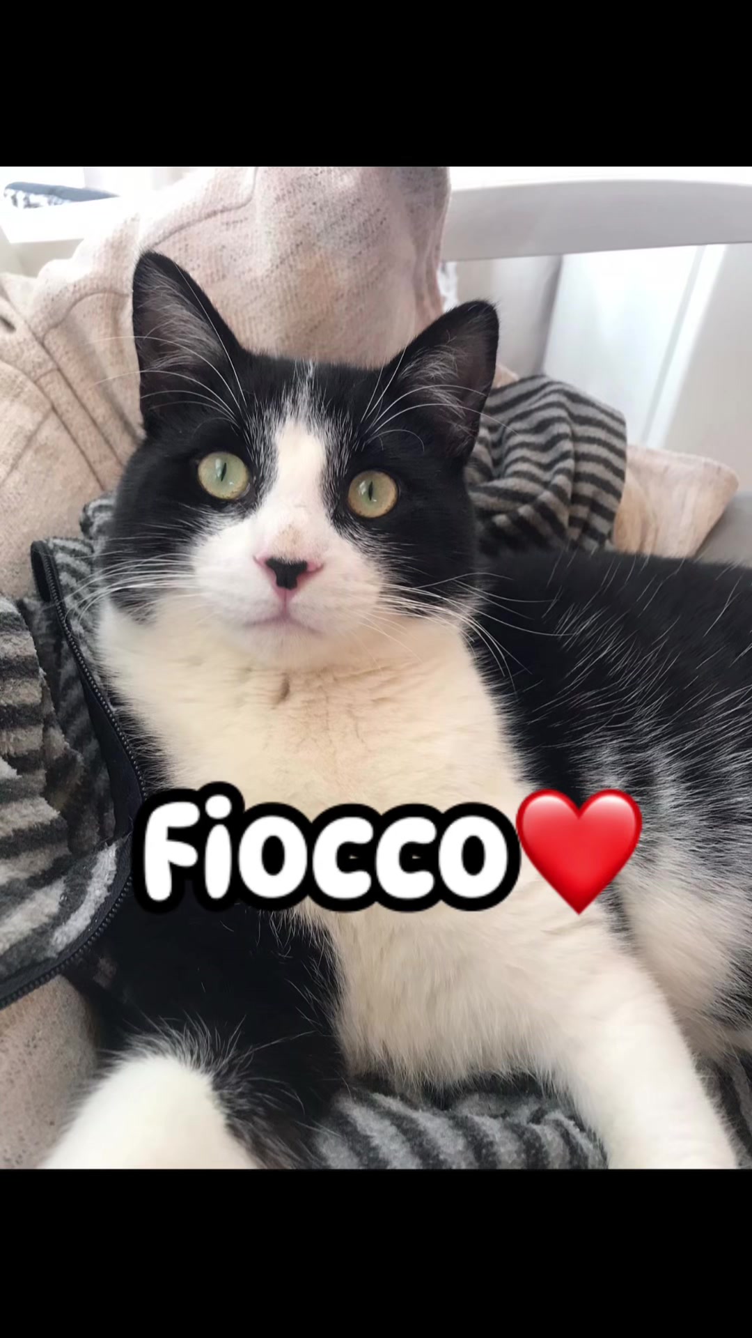 @Jessica Vecchio