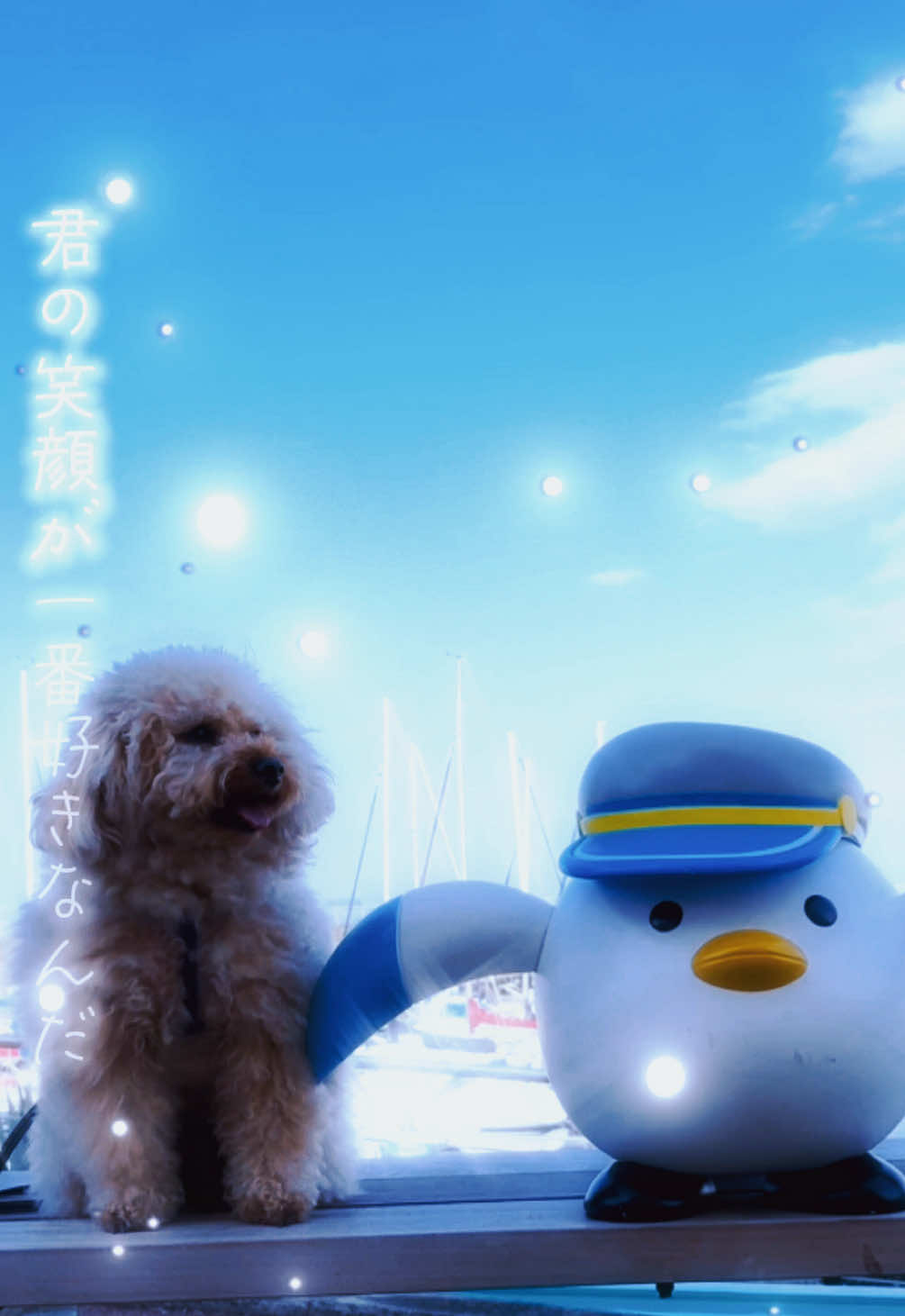 @ブチムギ🐶チャンネル