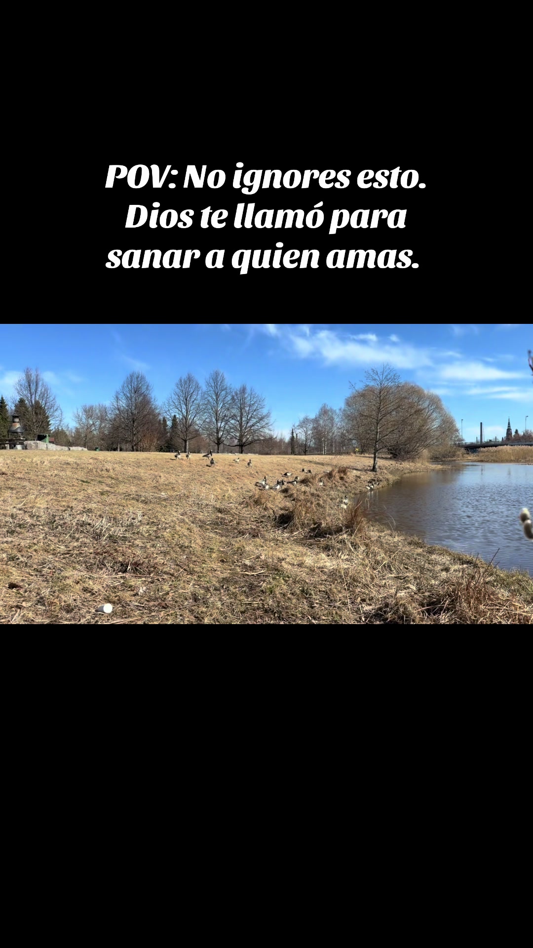 @Emanuel Santander |Reflexiónes