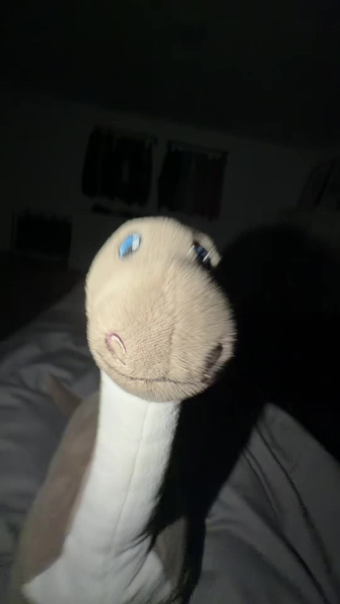 @Dinolino🦕