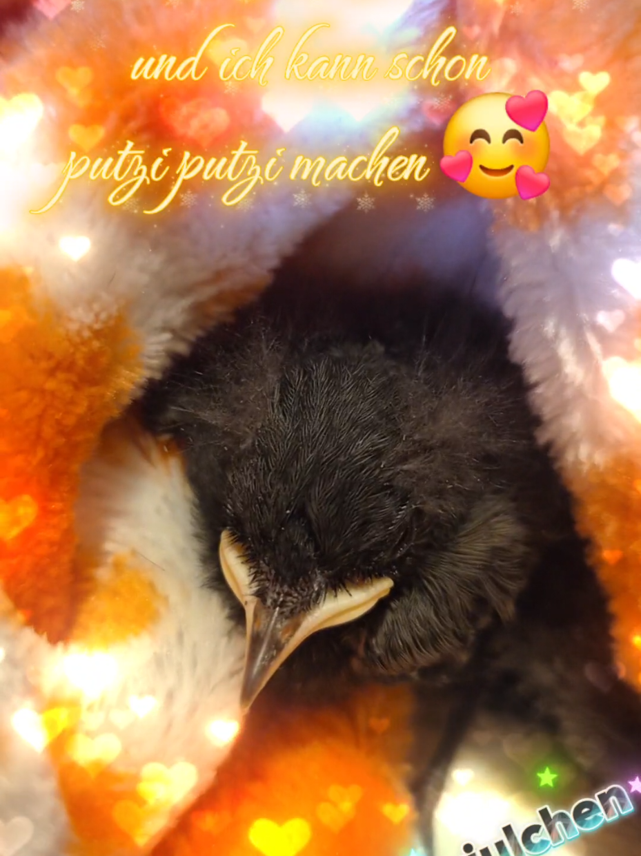 @โ๏ธ๏ธ๏ธ๐
๏ธ๐
ค๏ธ๐
๏ธ๐
๏ธ๐
๏ธ๐
๏ธ๐
๏ธโ๏ธ๏ธ๏ธ