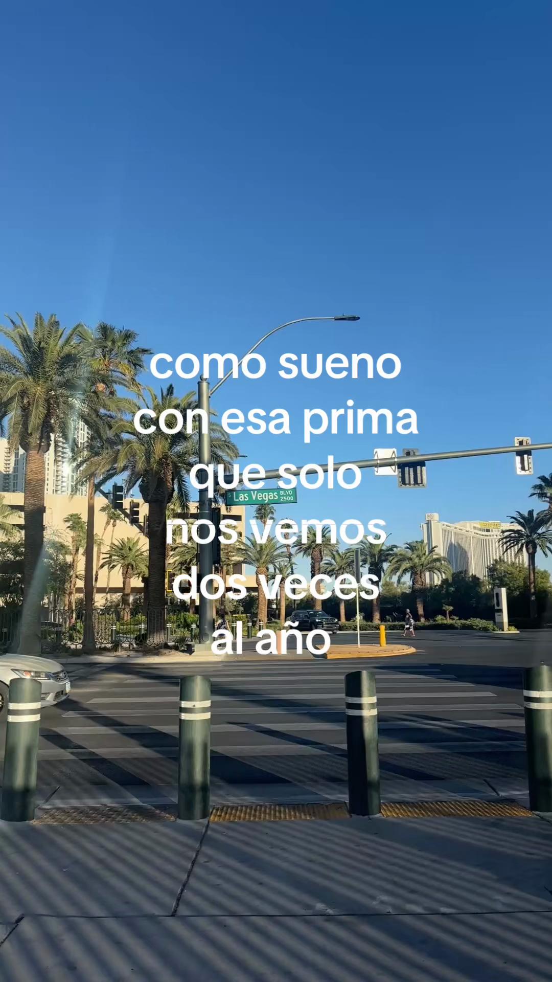 @ara🐚