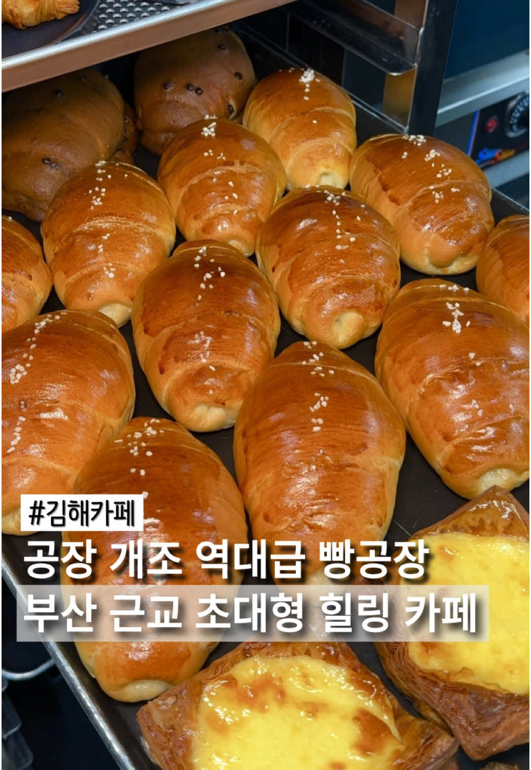 @mbusanuyuyrc