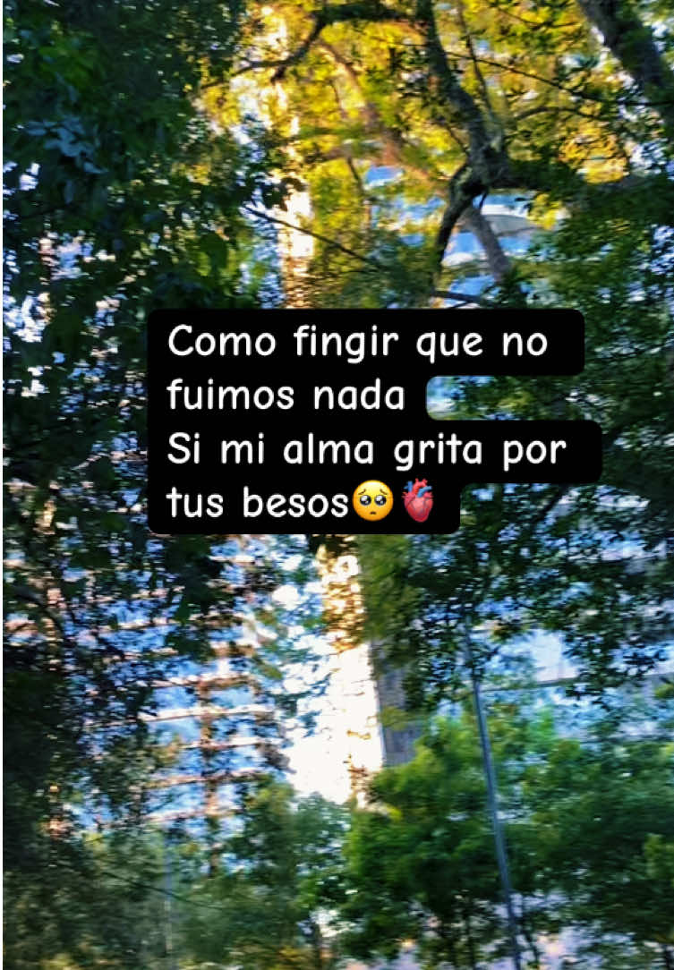 @Zzarahacosta