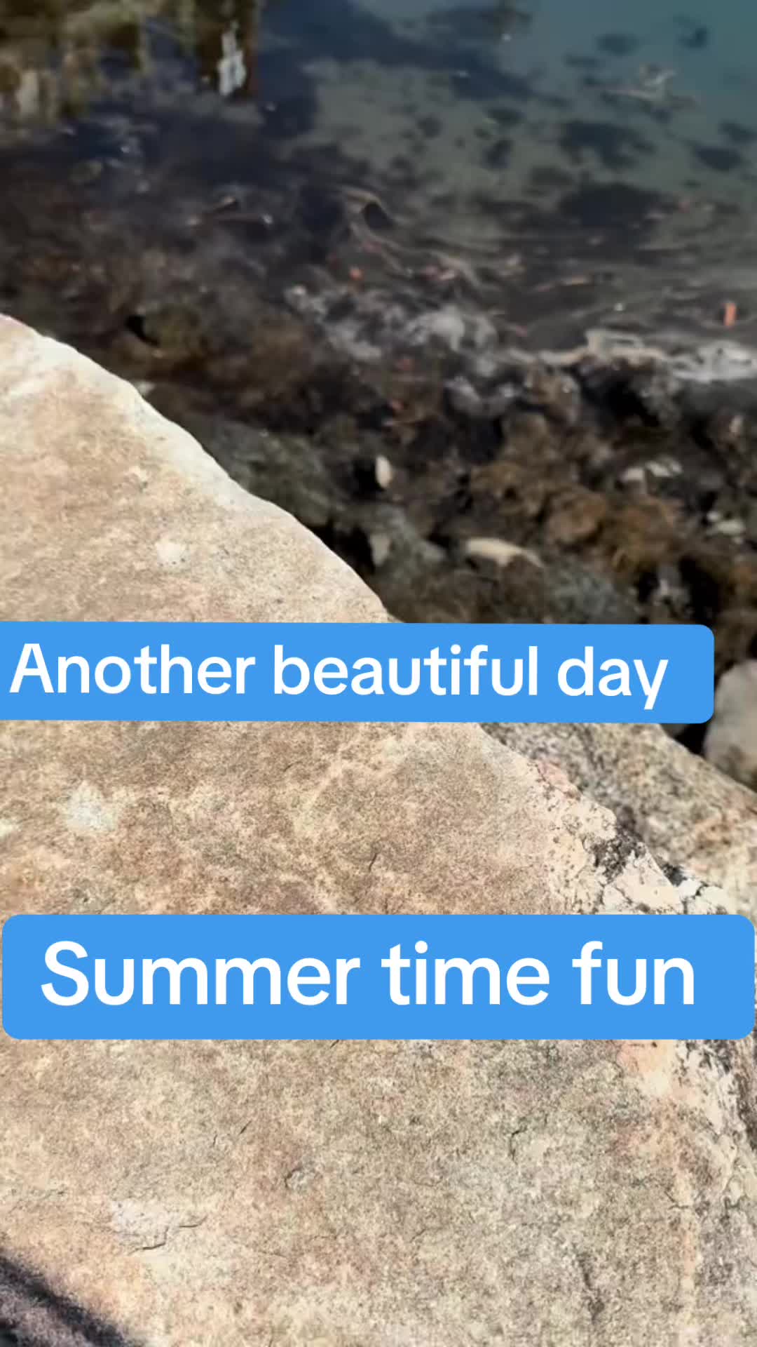 @Bunnytakesnotes1111
