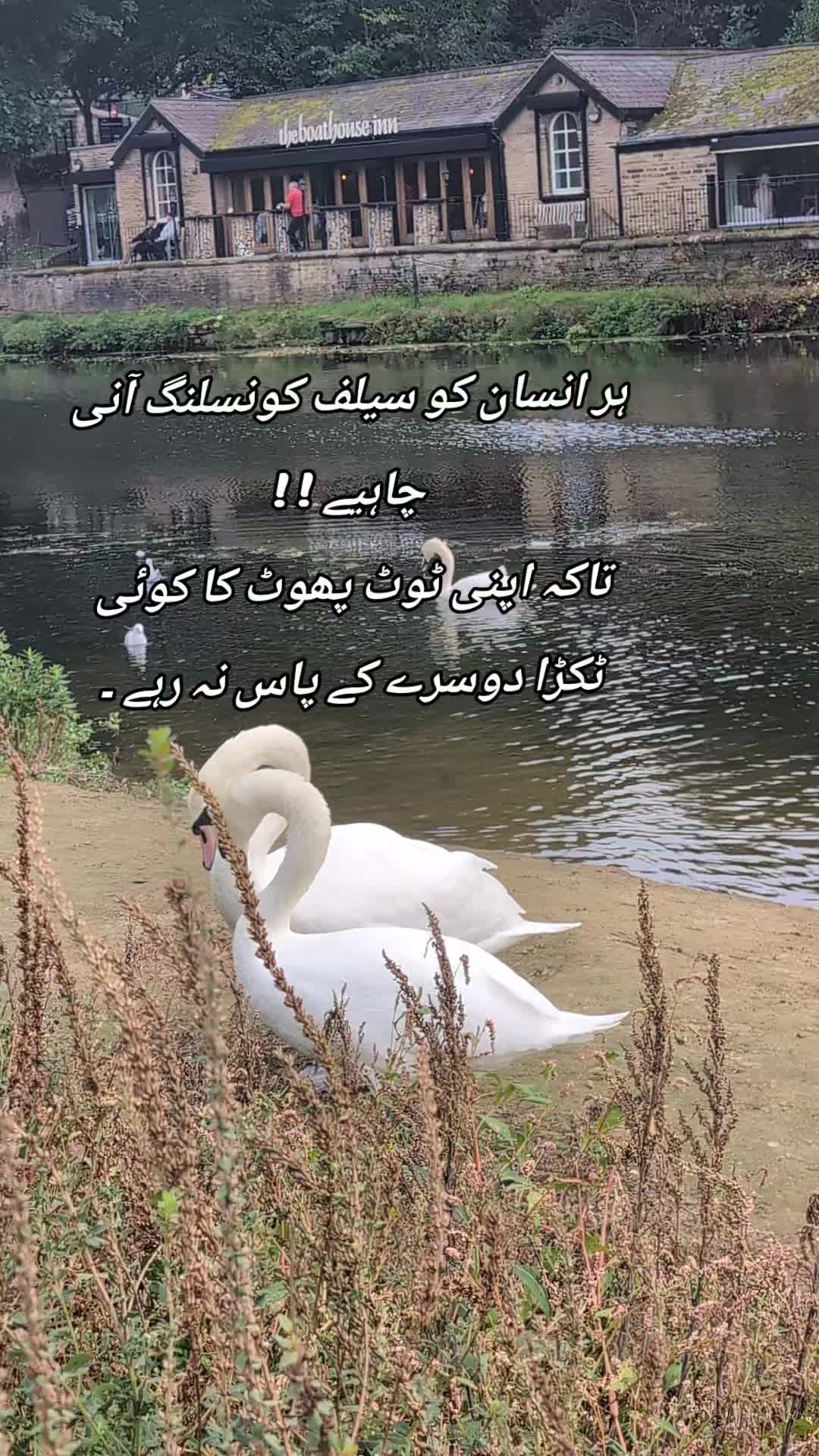 @Fo🧕Tabbasam 321