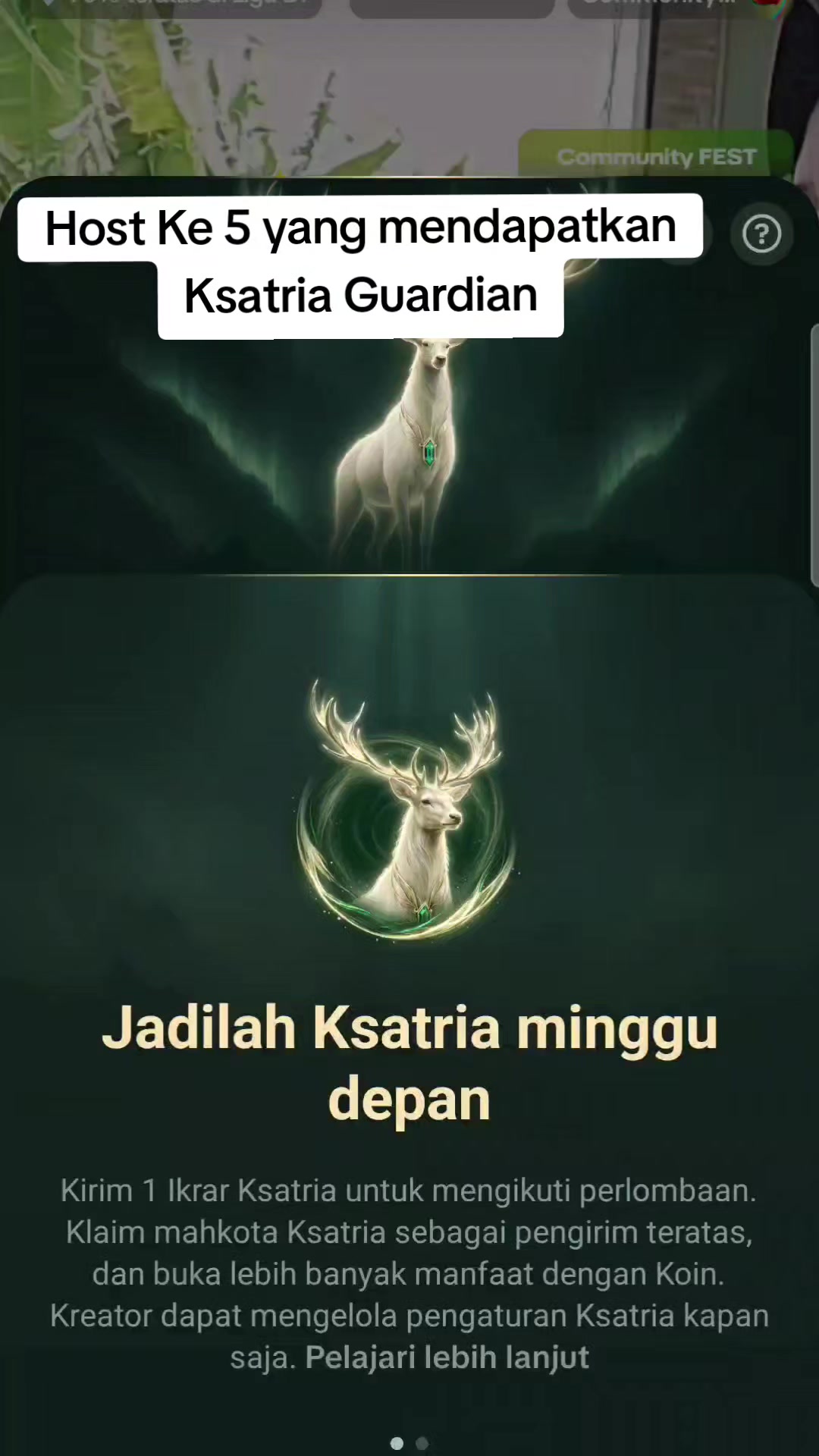 @VENDOR LELANGAN