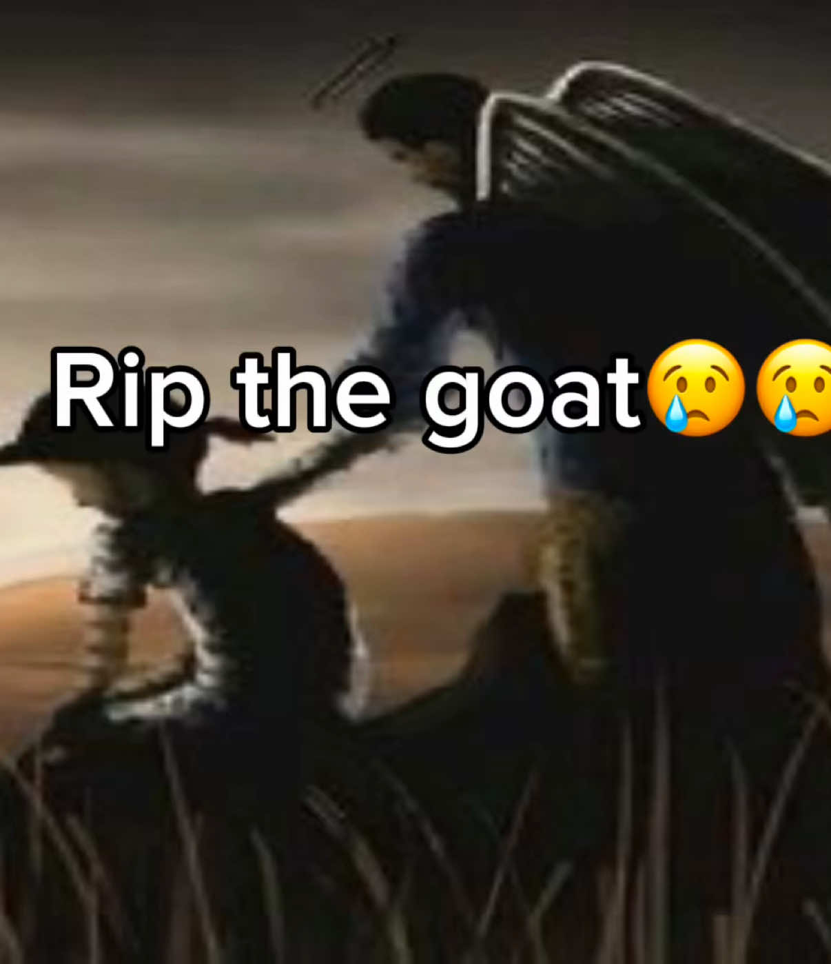 @KM_Editz