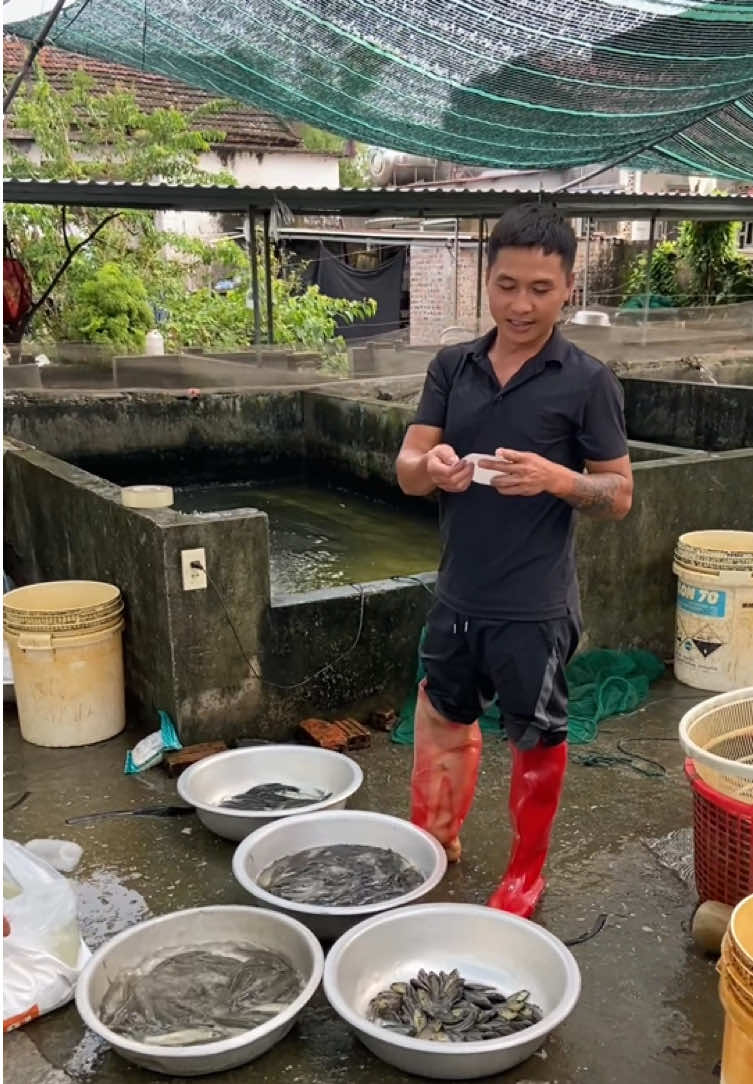 @Trại Cá Giống Quang Lâm