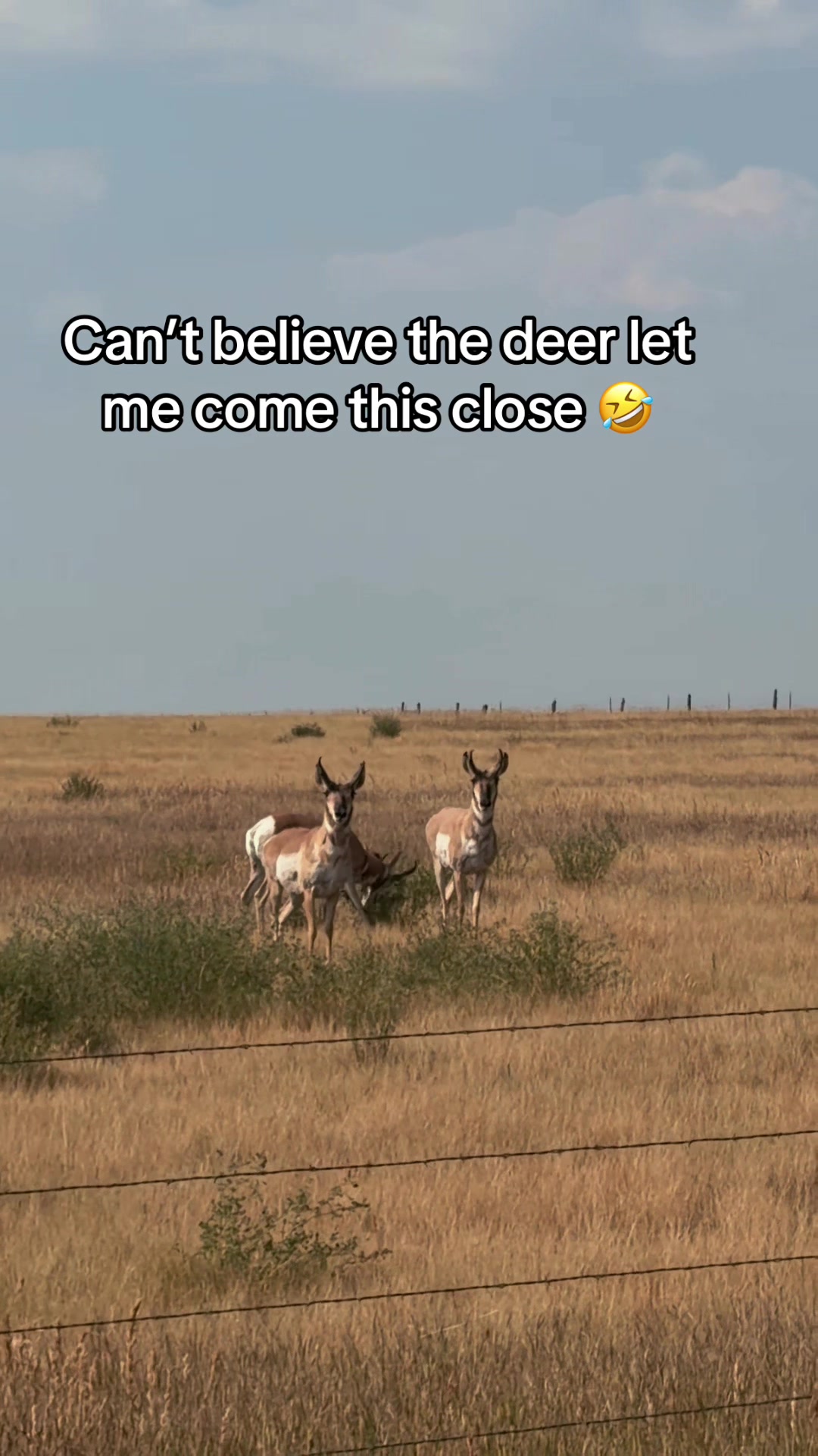 @Tori