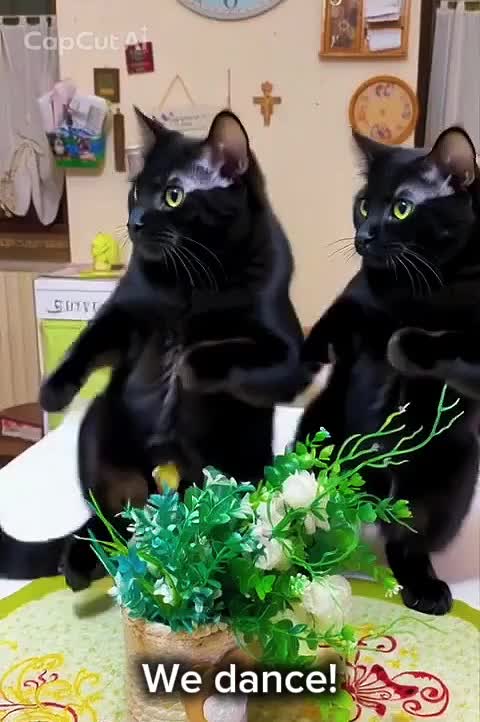 @CMAR61