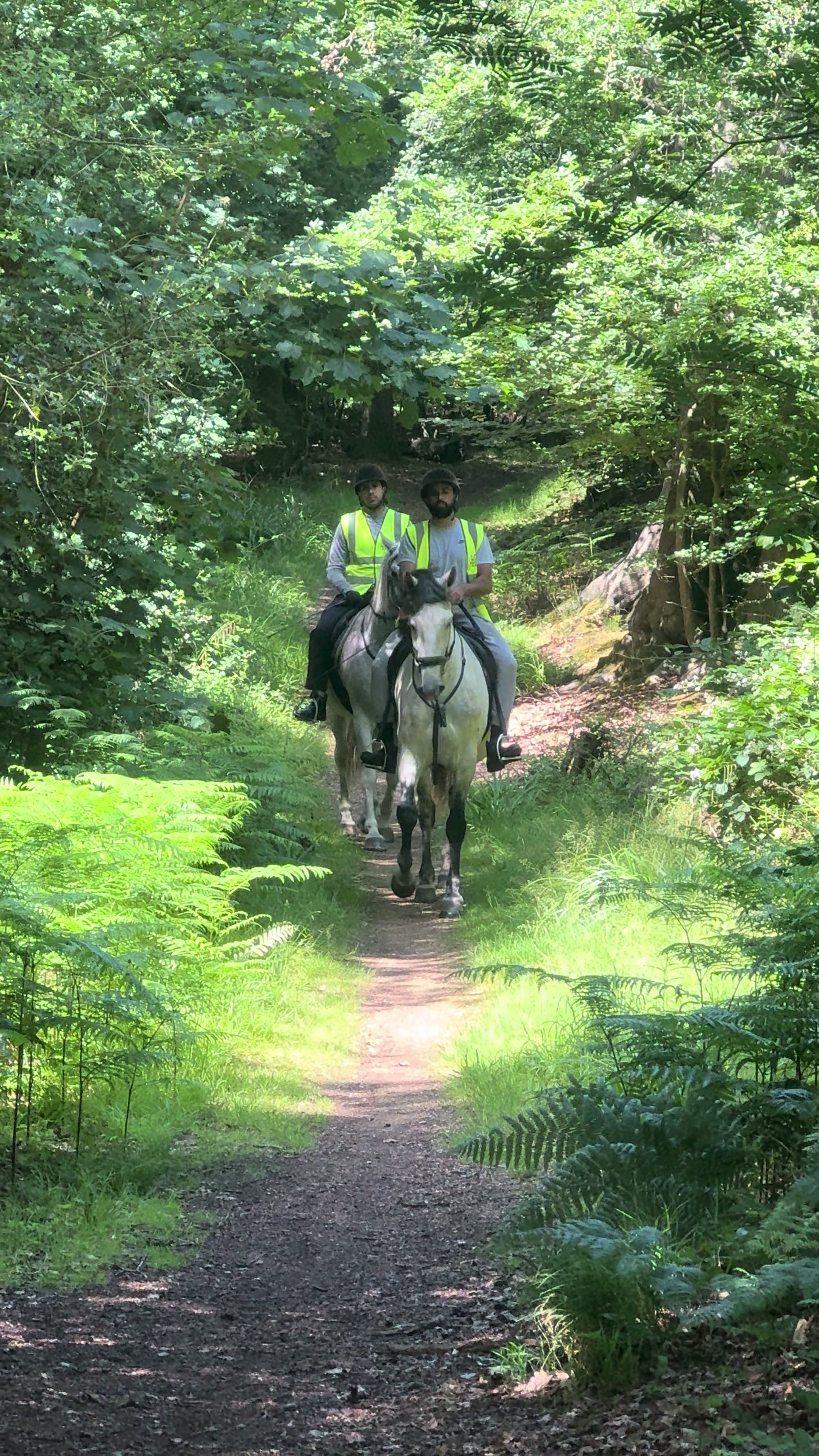 @Slough horses