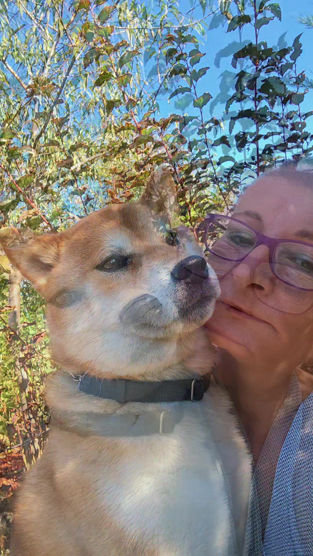 @Spirit of Asia Kennel