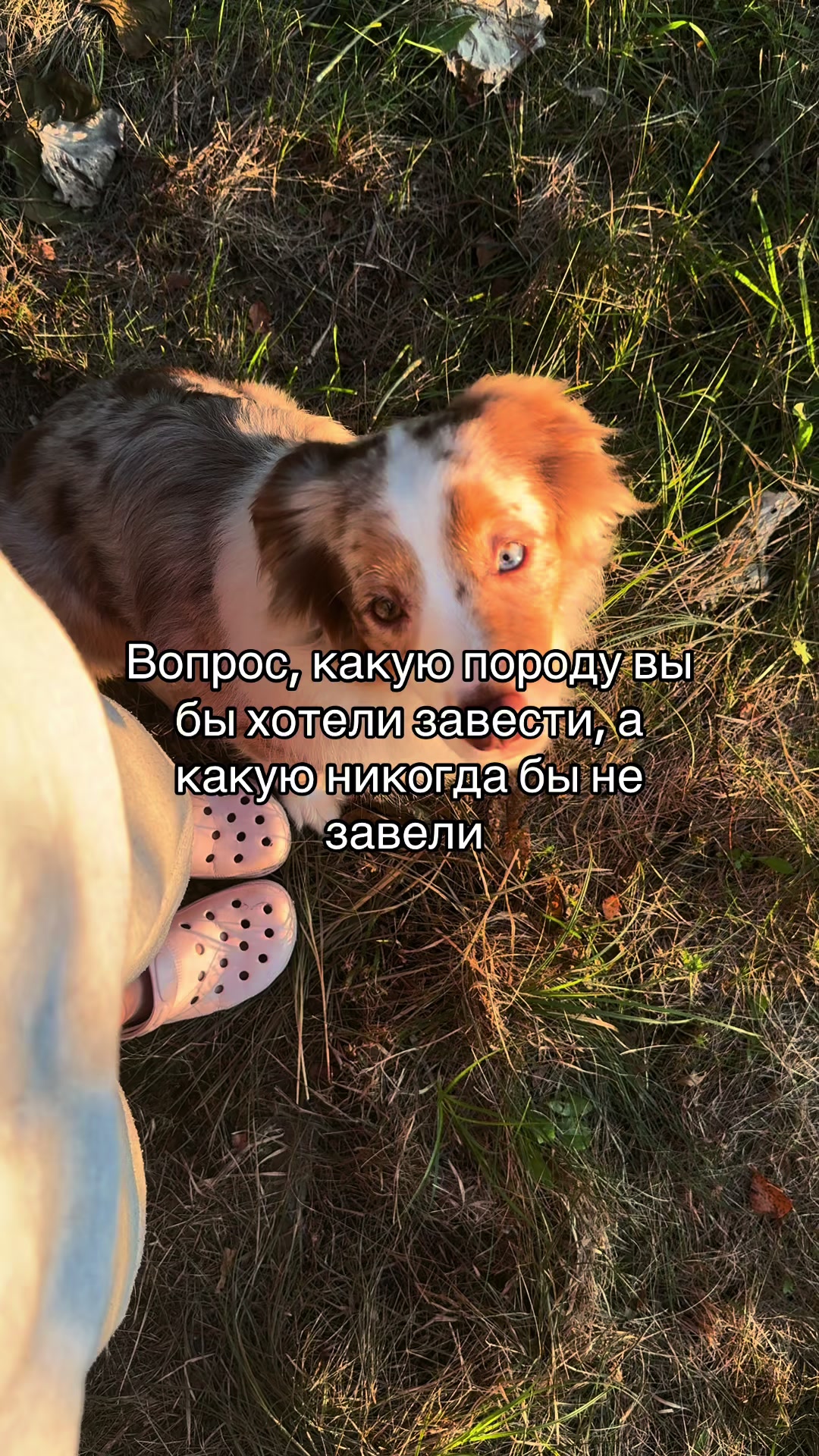 @𝚃𝚠𝚒𝚡