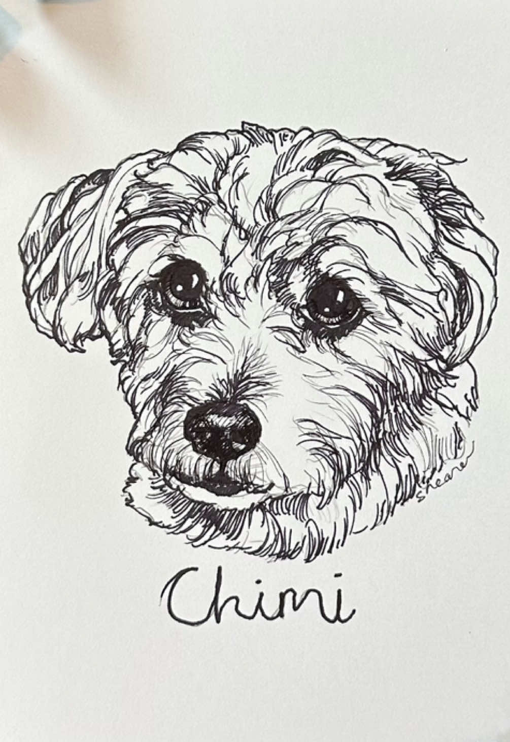 @Pet Portrait Artist