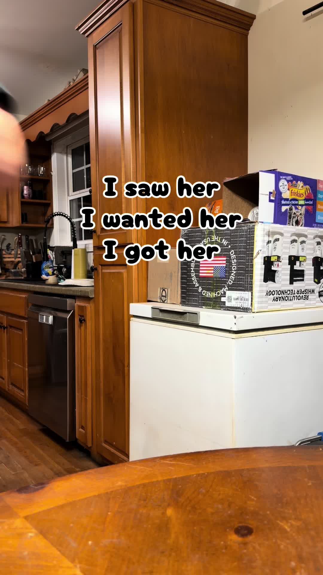 @༺𝔗𝔢𝔞𝔪 𝔄𝔮𝔲𝔞𝔯𝔦𝔲𝔰༻