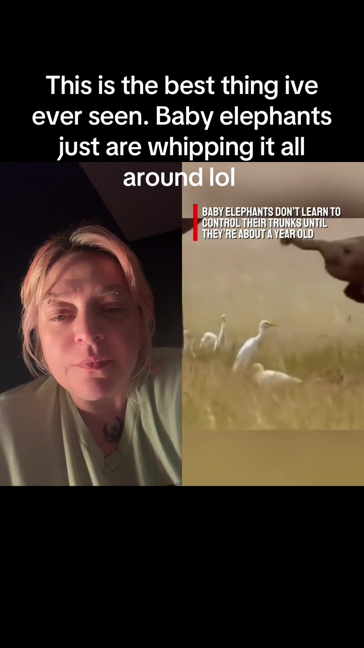 @Nikki M