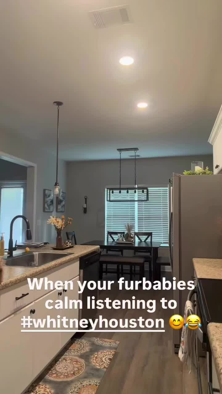 @Shortcake_kennel_2