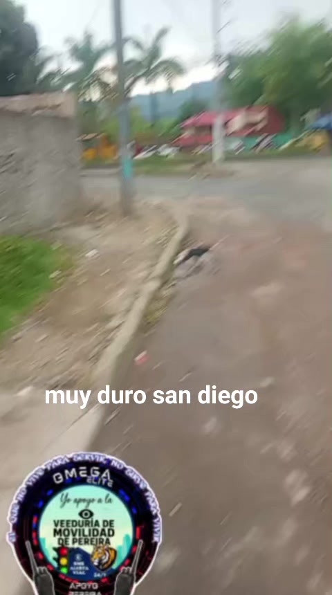 @Alerta Vial Sms
