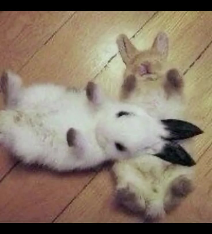 @З