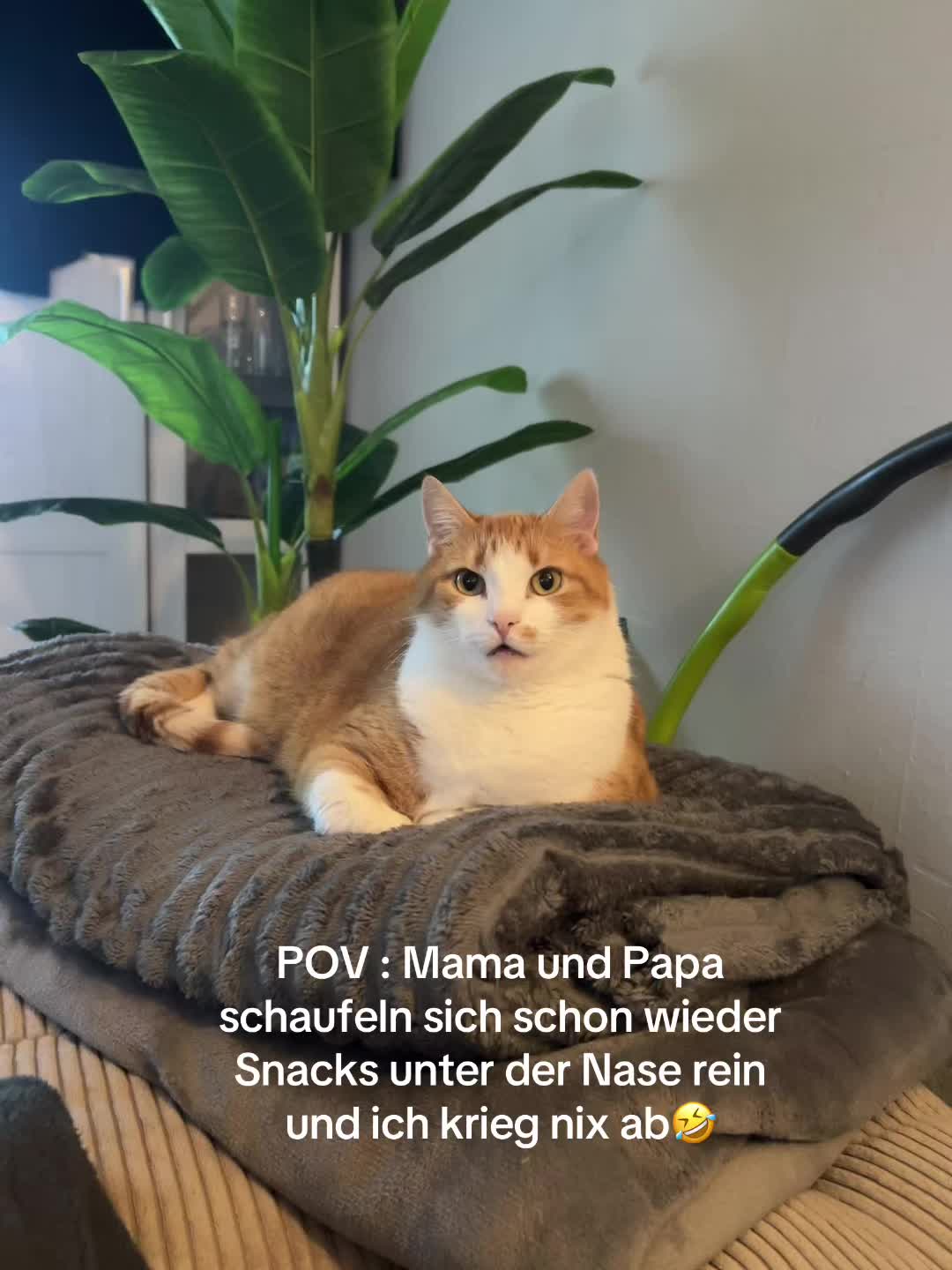 @Annika Wei&szlig;