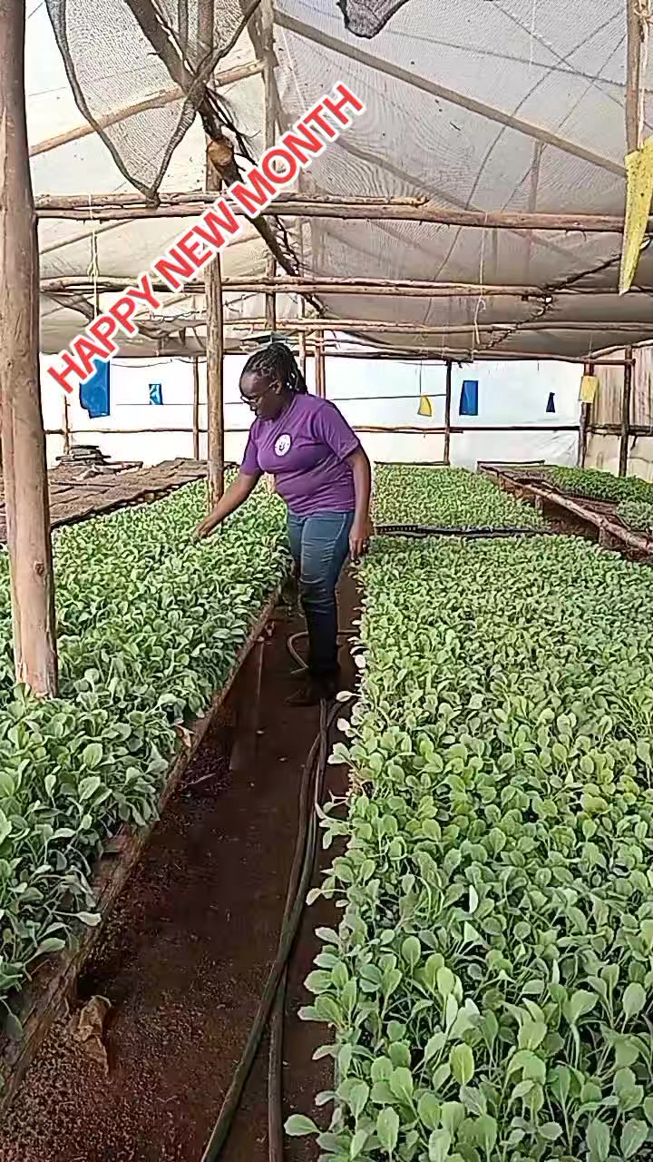 @wambuku thefarm empress