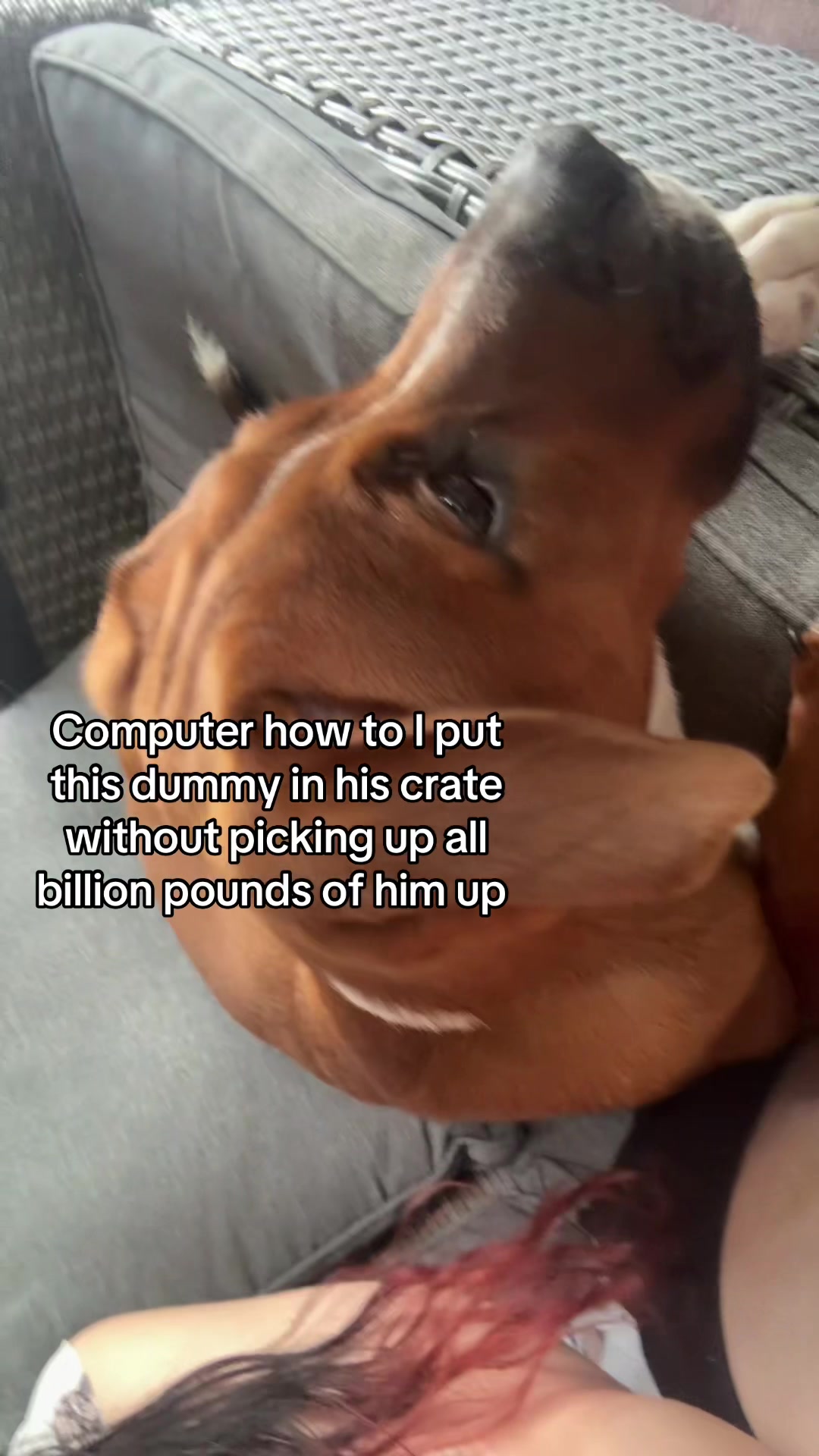 @Camille