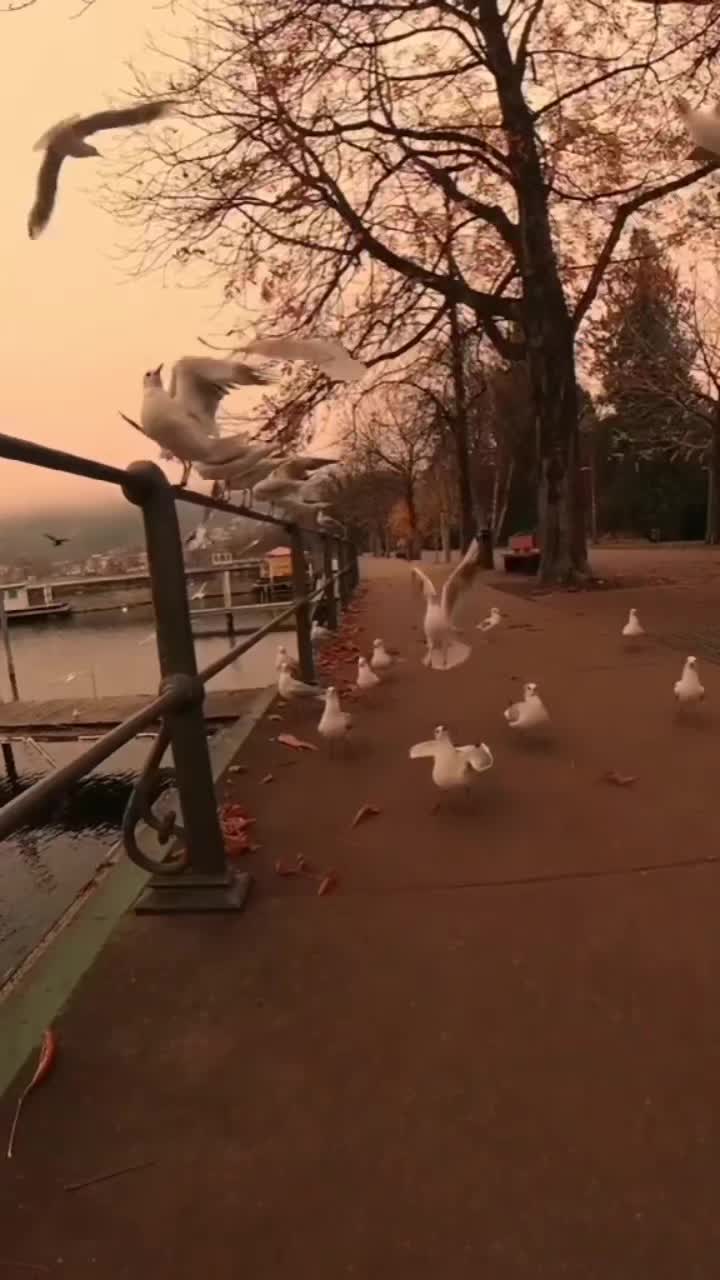 @๐ค๐ต๐๐๐๏ธ