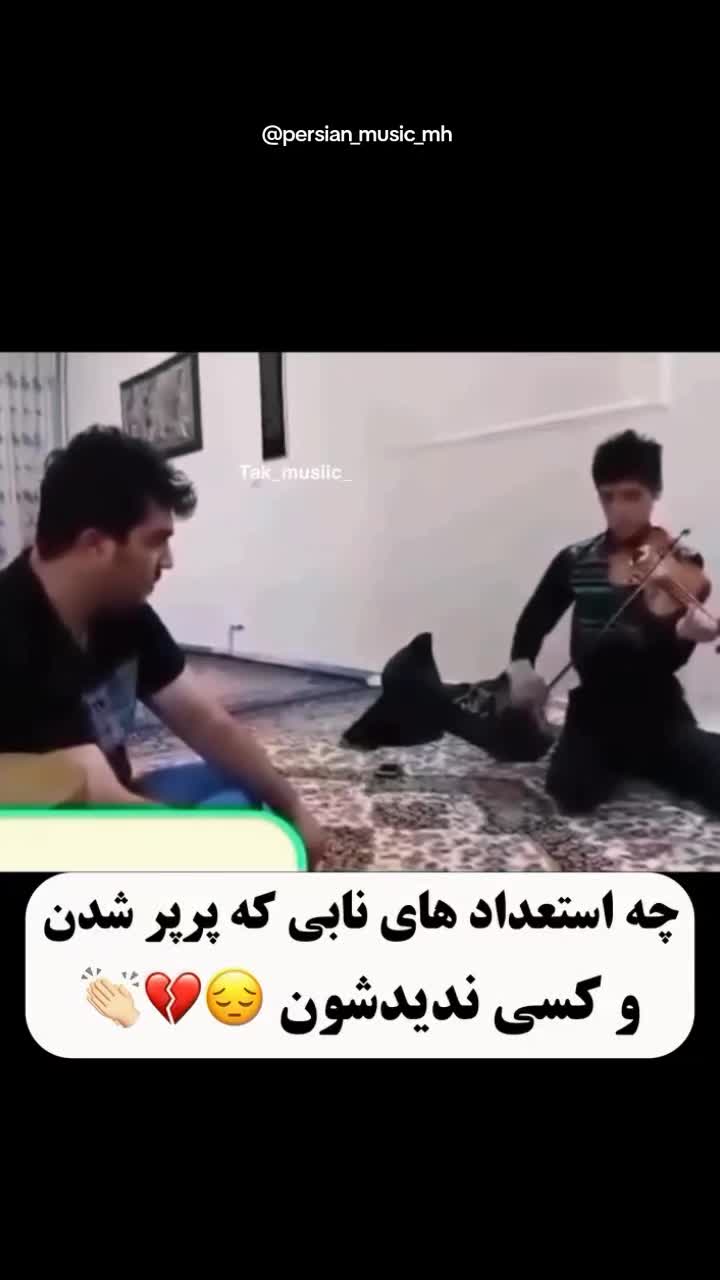 @persian_music