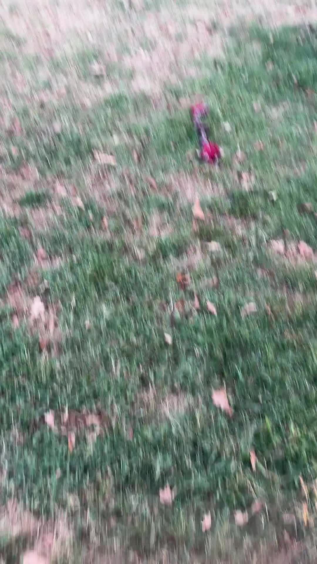 @Dogmansshadow