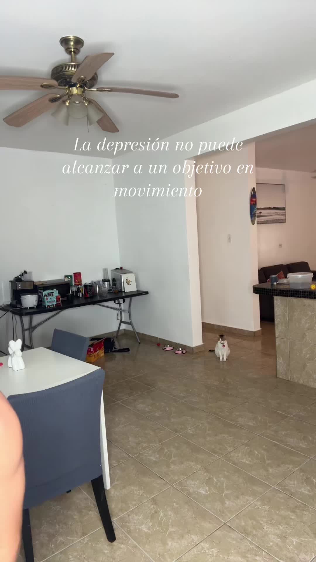@JOACO! 🇵🇷🇵🇷