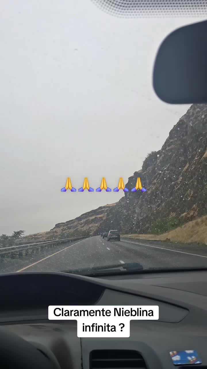 @Dom🇬🇹09🌲