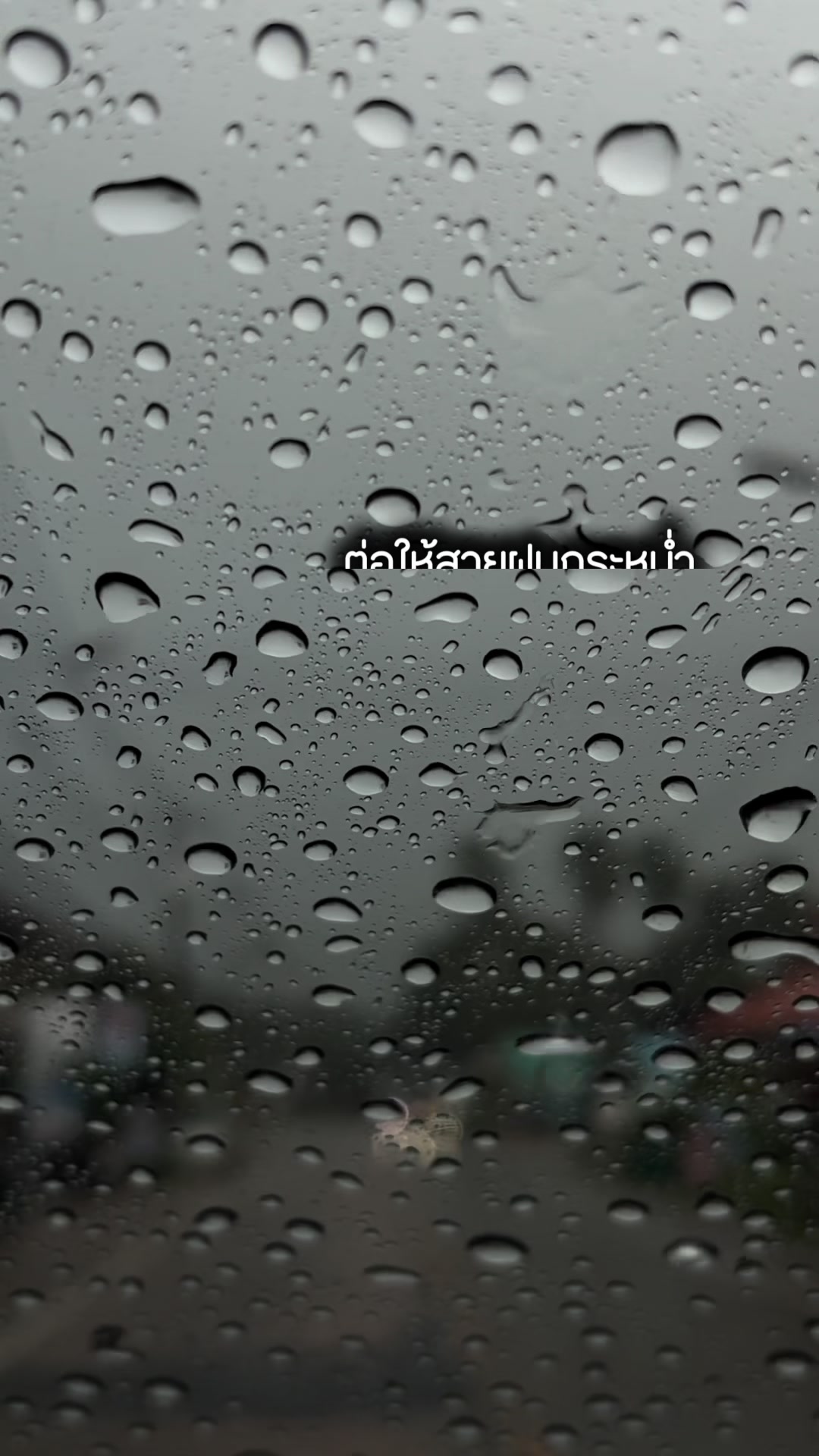 @โก้น้อง ต้นเหรียง