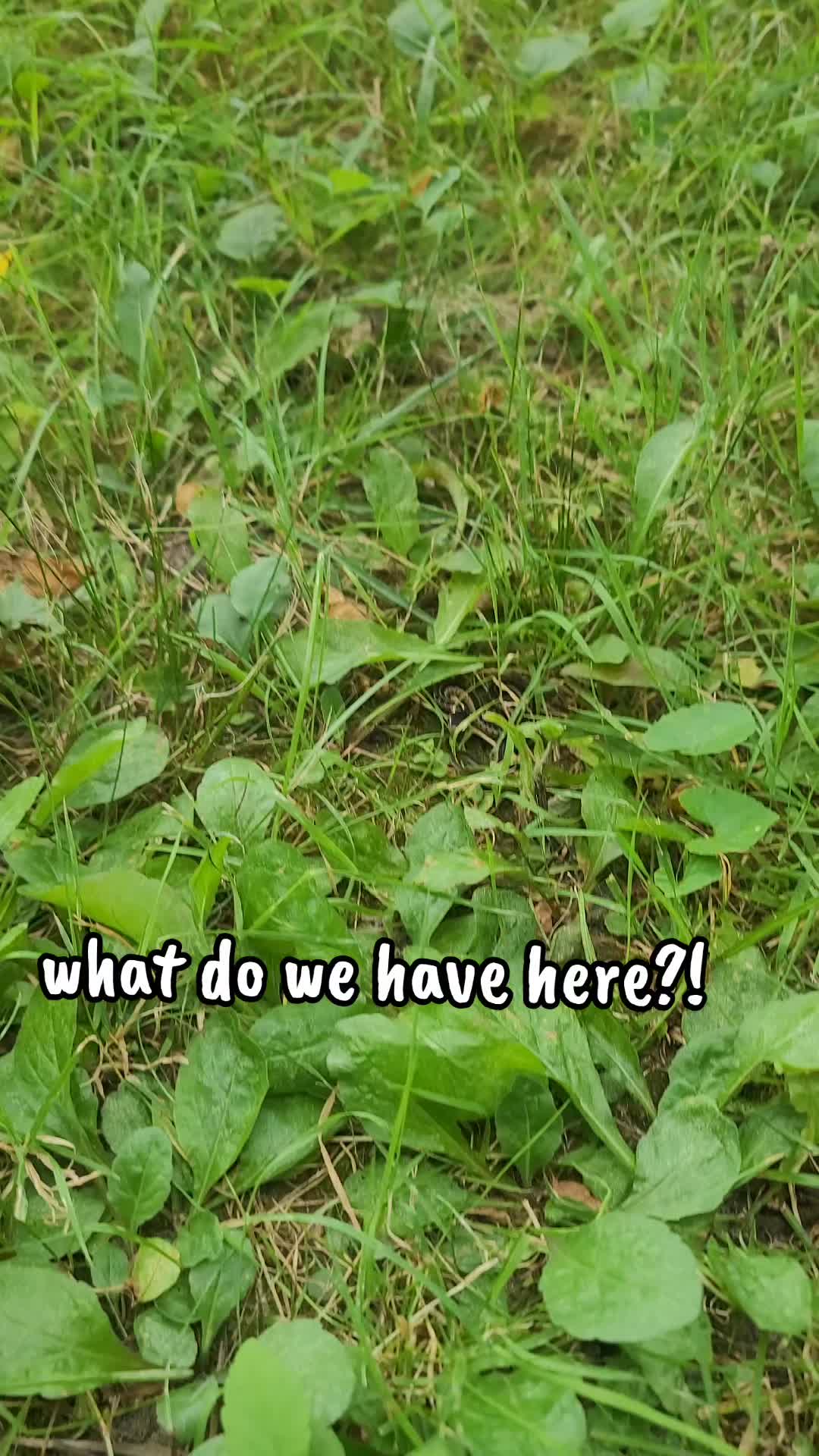 @Zookeeper Melanie