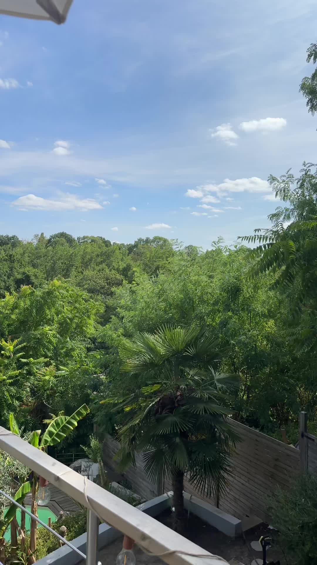 @𝐞𝐧𝐳𝐨.𝐩𝐫𝐞𝐫