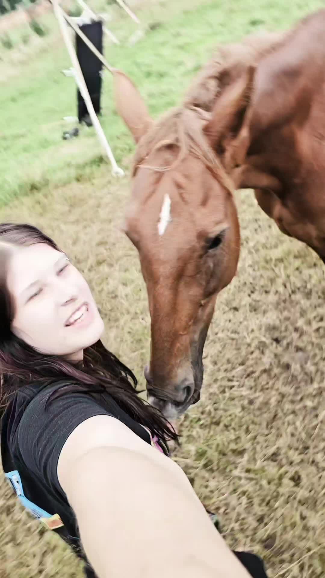 @Dino and horses