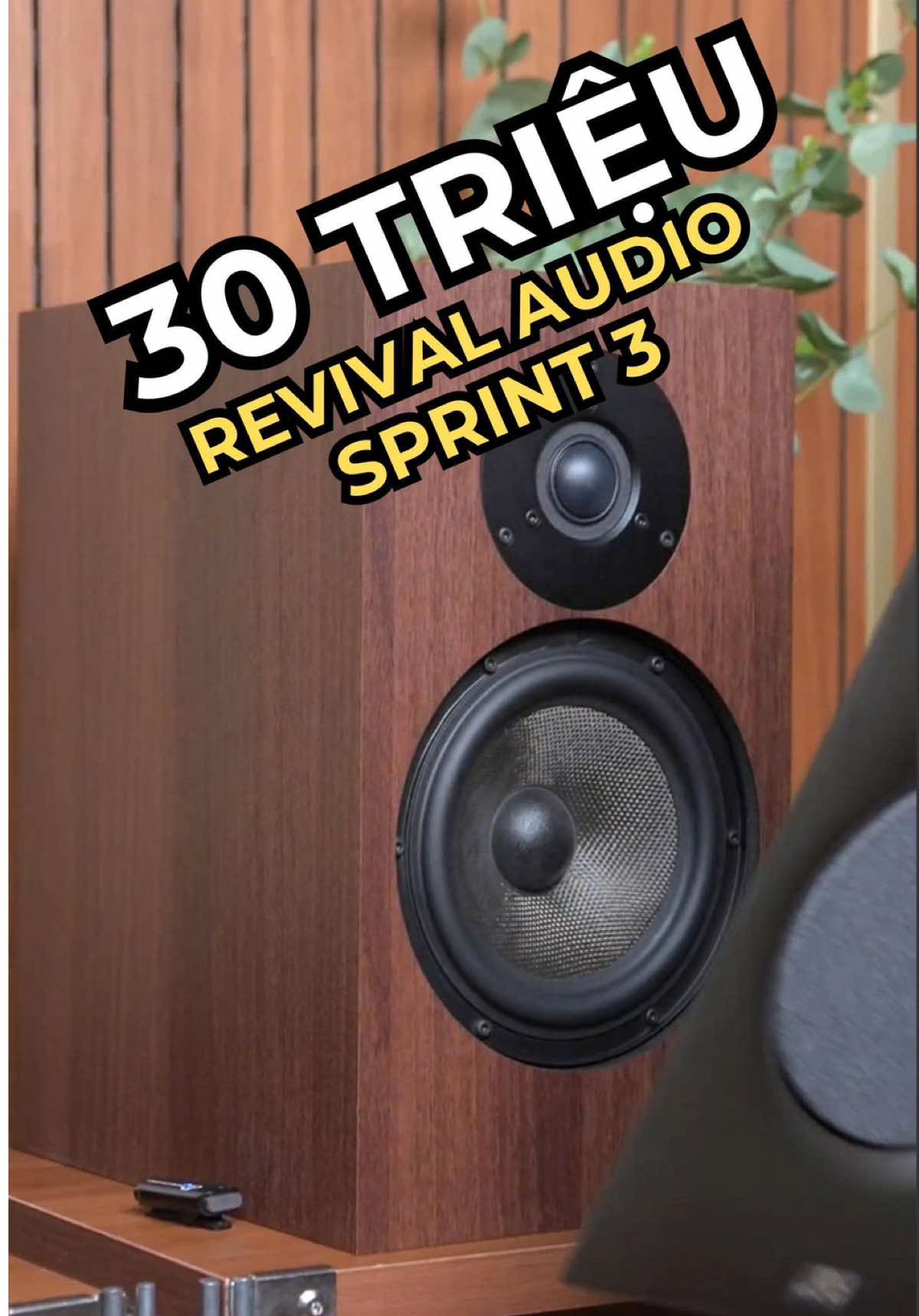 @D&aacute;t V&agrave;ng M&agrave;ng Nhĩ 🎼
