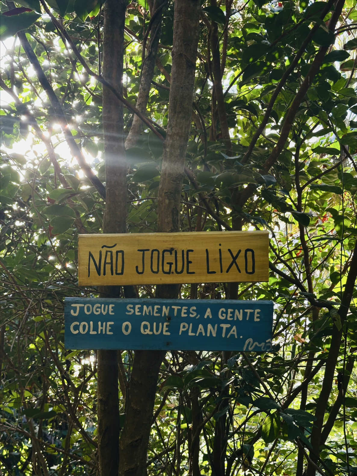 @Giovanna Costha | Terapeuta 🍃