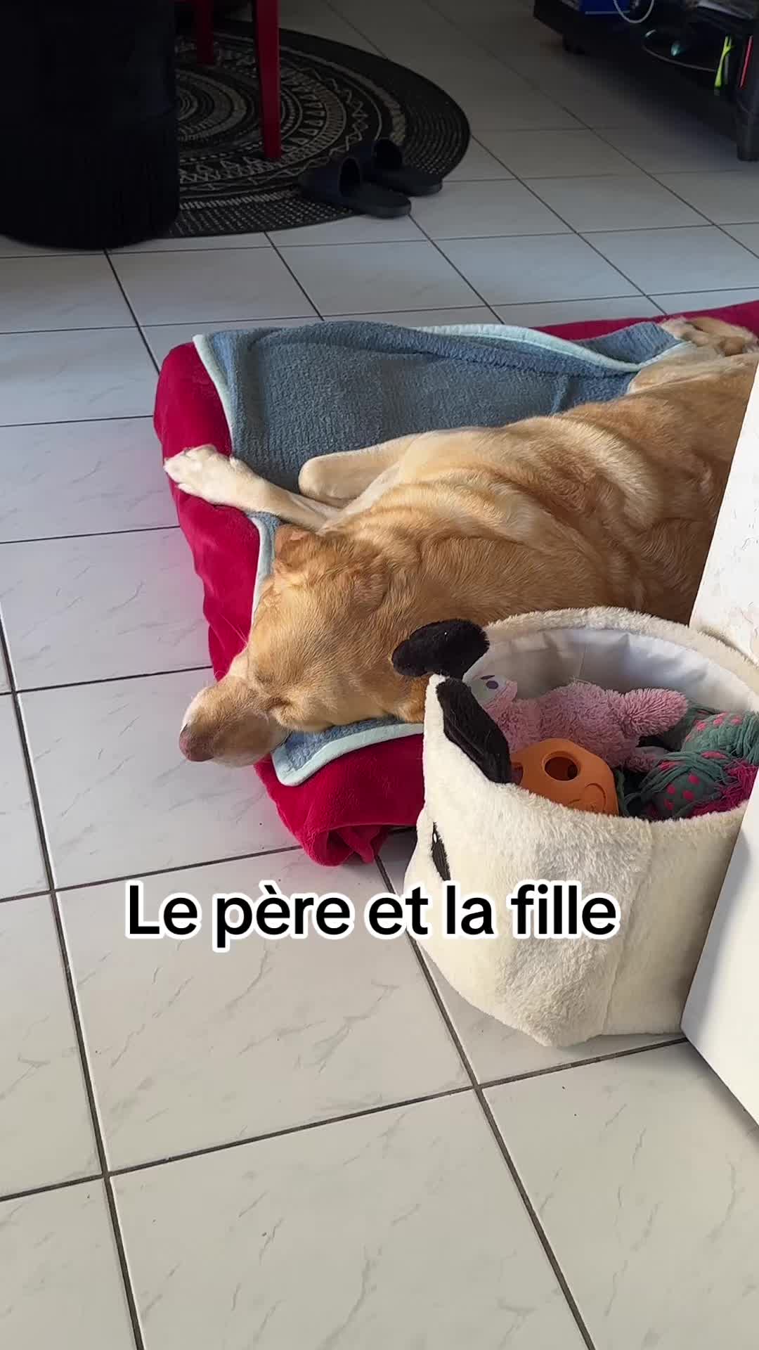 @Eve 🫧