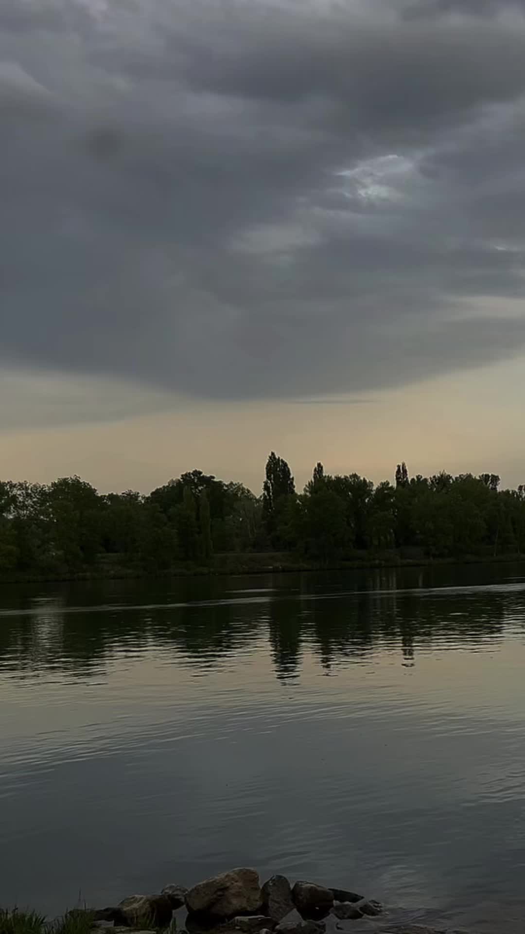 @𝒮𝓌𝒶𝓃🦢