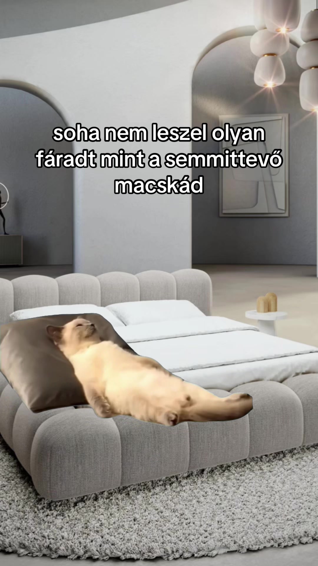@lilii