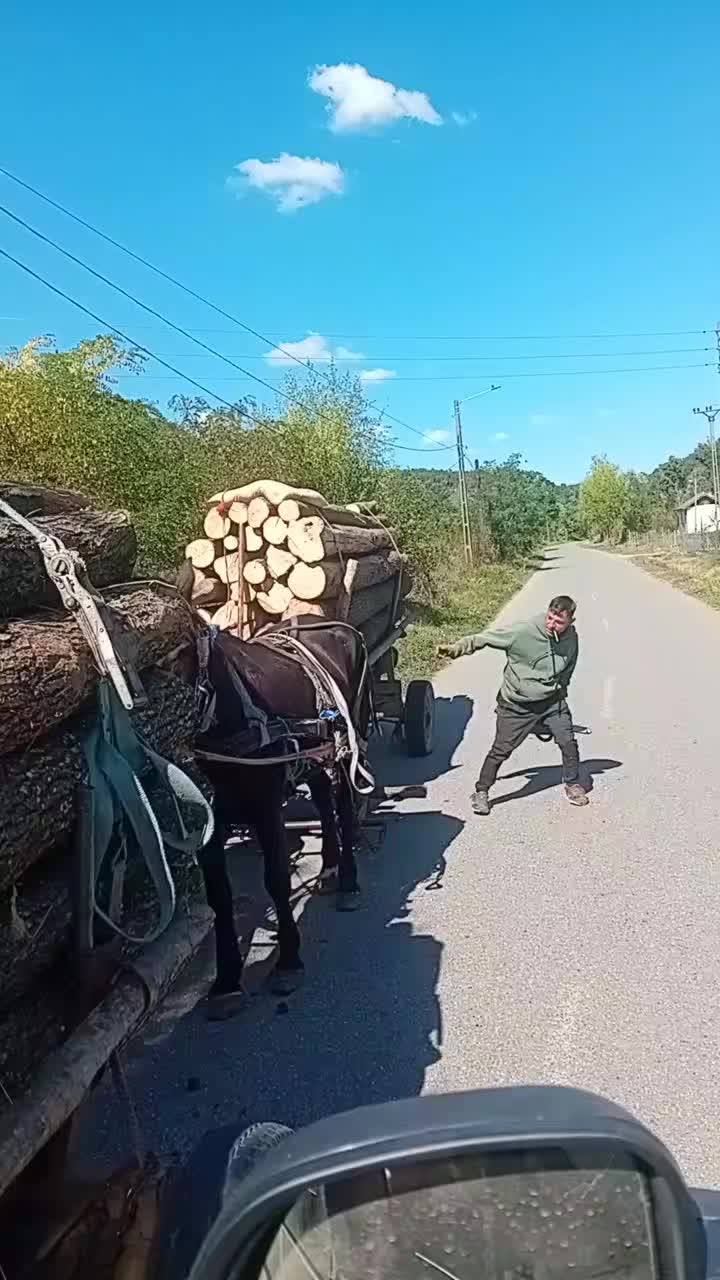 @Nicolae Stănescu