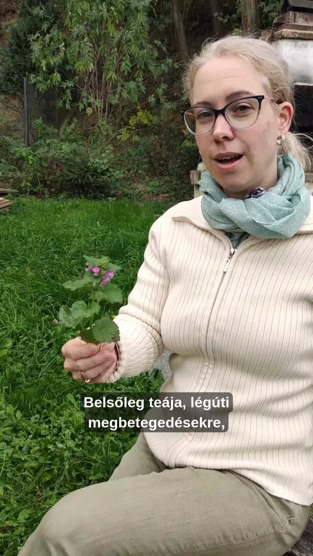 @fitoadri