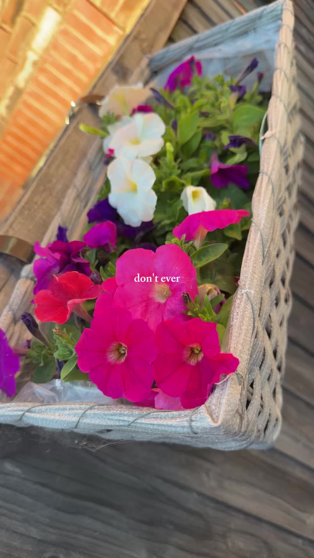 @Charlie😜🏳️🌈