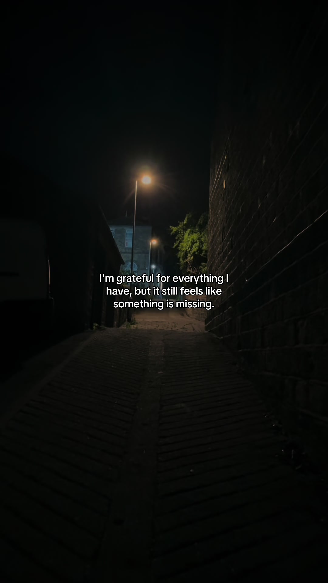 @reel_feels_