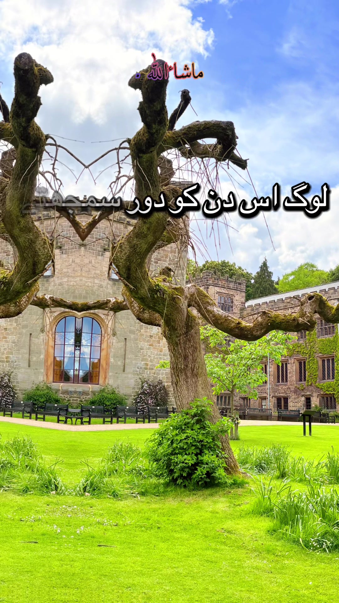 @www.tripswitht.com