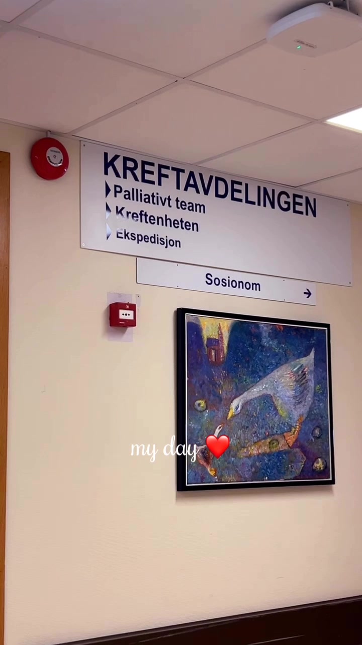 @mettemyhrebakken