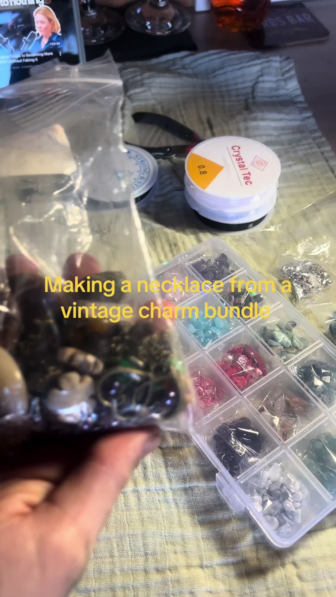 @Mimi 🪸