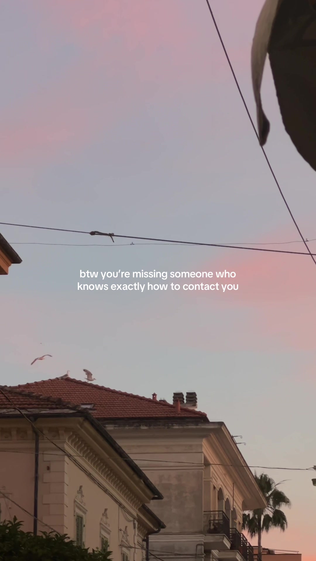 @anna